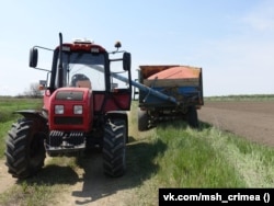 Рисове поле, Красноперекопський район Криму, 4 травня 2022 року